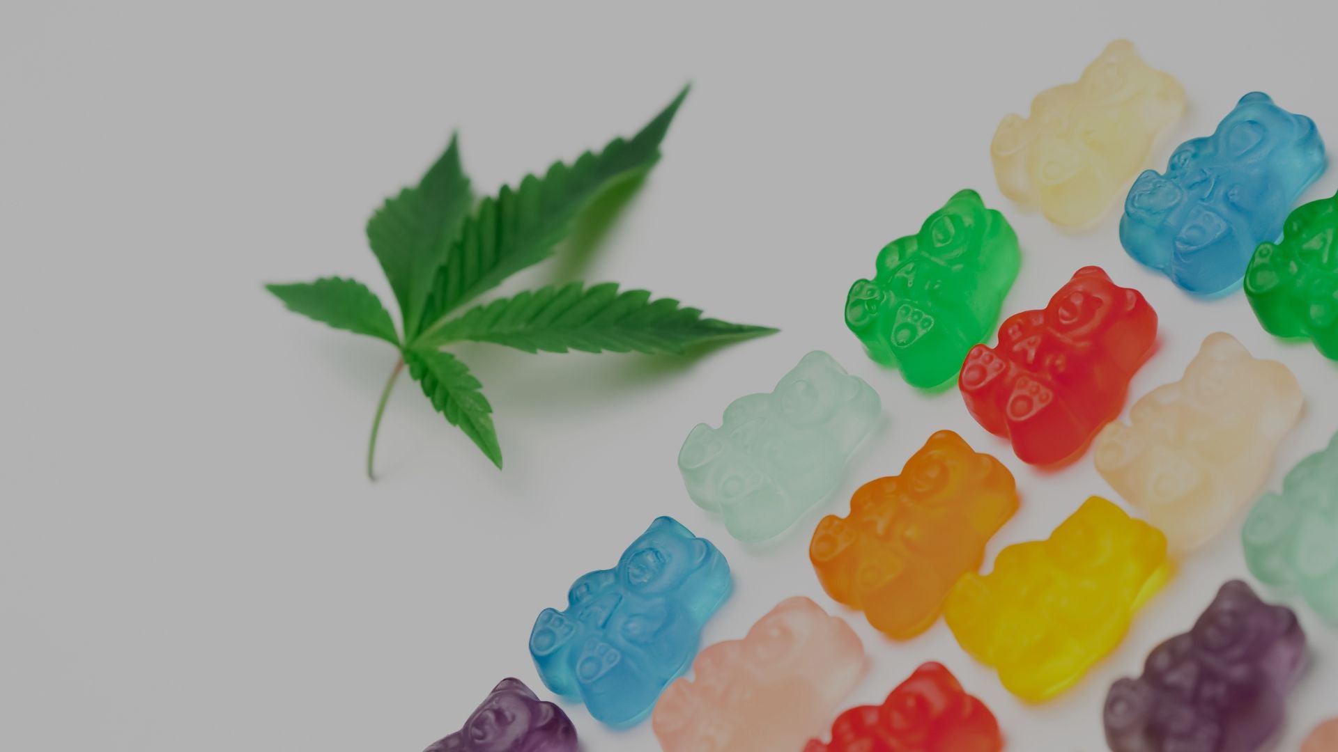 A Beginner’s Guide to Hemp-Derived THC Edibles