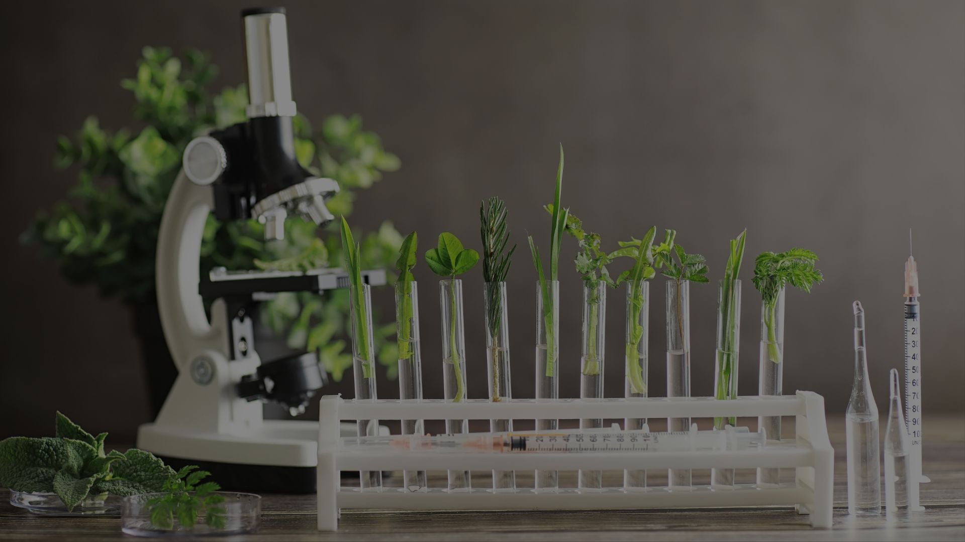 Transparency in THC Products: Why Lab Testing Matters