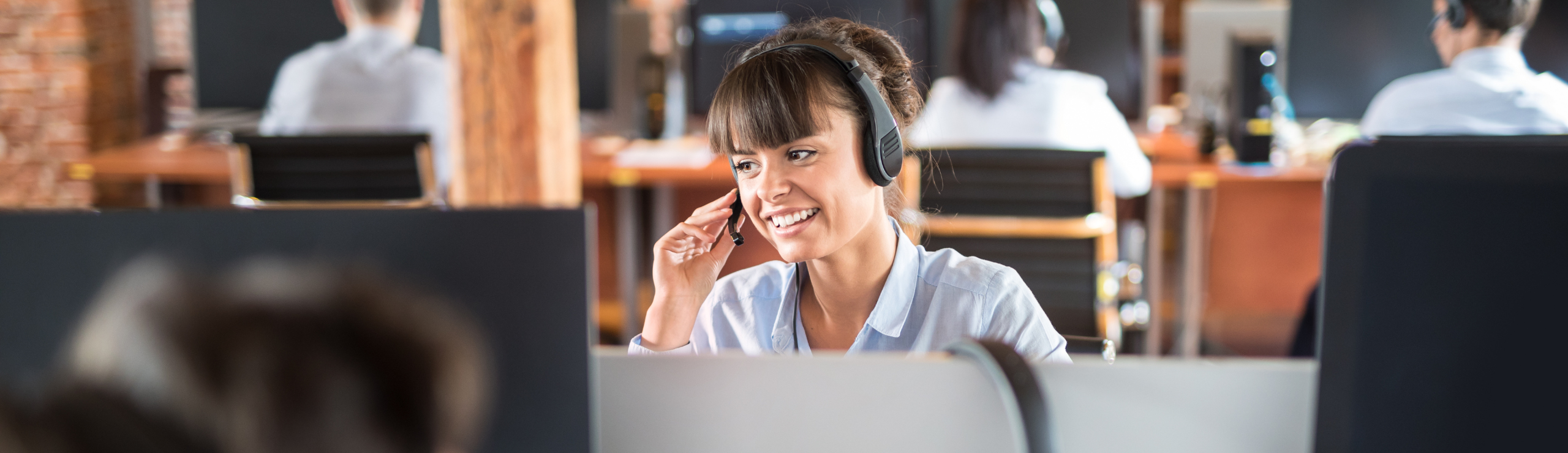 Customer Support Agent